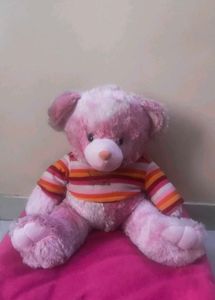Cute Striped Shirt Teddy Bear