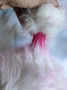 Jellycat Ostrich