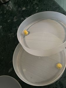 Sprout maker for dals, micro greens