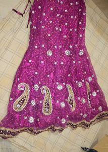Elegant Lehenga Choli