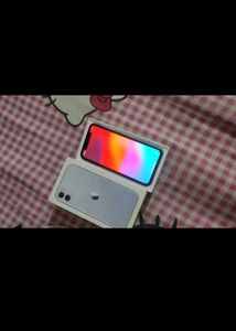 Apple Iphone11 (icloud Locked)