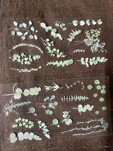 Floral Stickers - Natural Series