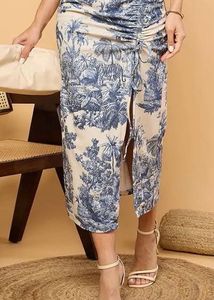 Clearance  - Chic Blue &amp; White Scenic Print Dr