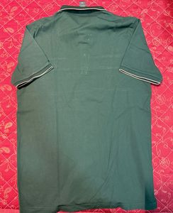 trending boys polo tshirt