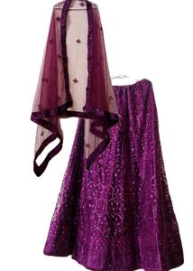 Exquisite Sequin Lehenga Choli Set