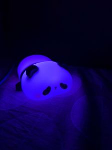 Cute Silicone Panda Night Lamp