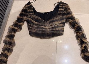 Sheer Ruched Sleeve Top