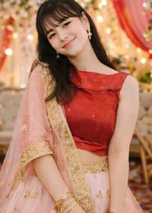 Gorgeous Indian Lehenga Choli