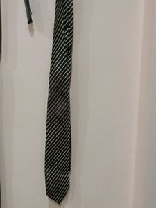 Striped Men's Tie