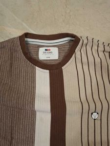 Striped Men's T-Shirt