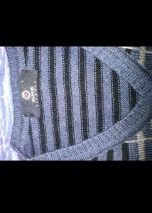 Striped V-Neck Sweater duke men
