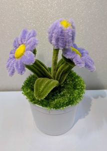 Cute Handcrafted Daisy Plant
