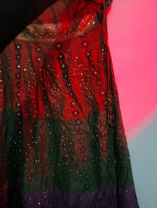 Embellished Ethnic lehenga choli
