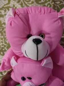 Cute Teddy🧸 (medium size)