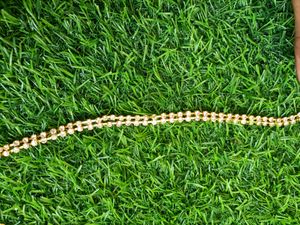 Gold Colour Stone Kamarband