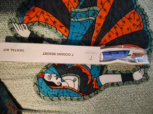 Handy Travel Dental &amp; Soap kit