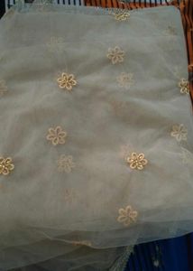 beautiful lehnga choli