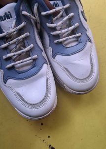 Casual White &amp; Blue Sneakers