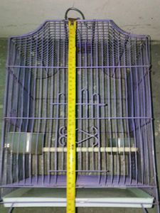 Cage For Birds