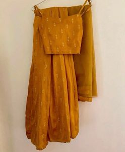 Gorgeous Raghavi Mustard Lehenga Choli