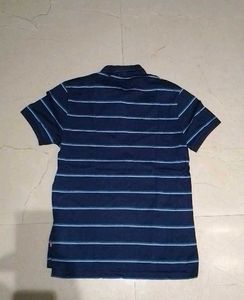 Striped Polo T-Shirt