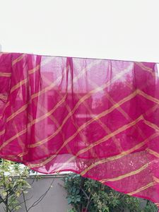 Vibrant Pink Saree with Golden Stripes