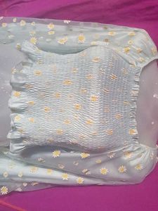 Daisy Sheer Sleeve Top