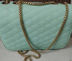 Women Mint Green sling bag