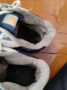 Blue Coasters Sneakers | Shoes