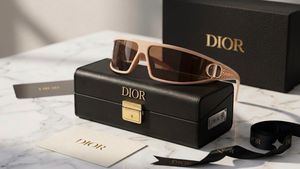 Dior Sunglasses with Case