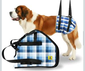 dog support harness