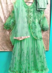 Stunning Green Embroidered Gaon Set