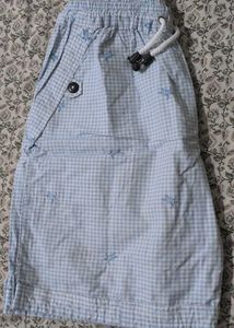 Light Blue Gingham Turtle Shorts