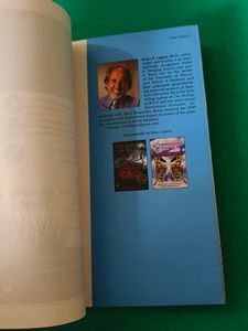 The Honeymoon Effect by Bruce Lipton