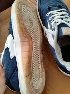 Blue Coasters Sneakers | Shoes