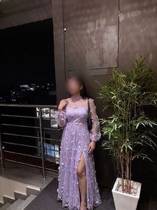 Urbanic savana Elegant Lilac Embroidered Maxi Dres