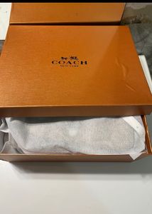 Coach Replica Backpack With Dustbag N Brand Box
