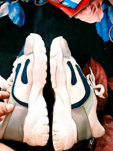 Stylish Blue &amp; White Sneakers