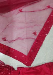 Stunning pink Sequined Lehenga Choli