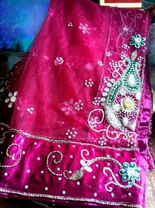 Exquisite Embroidered Lehenga Choli