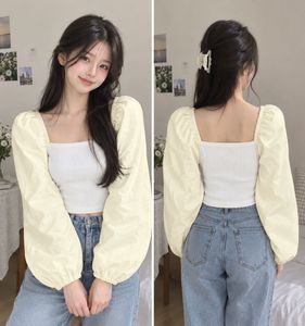 Chic Cream Puff Sleeve Top