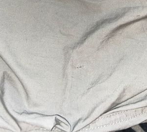 parachute pants