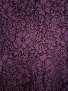 Purple Floral Lace Fit &amp; Flare Dress with Side Zip