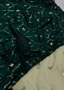 Green Embellished Lehenga Skirt