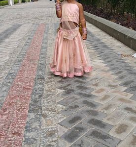 Elegant Peach Lehenga Choli Set