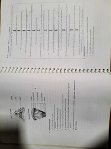 ANATOMY AND PHYSIOLOGY Textbook( BSC NURSING)