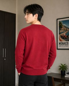 Spykar Men's Red V-Neck Sweater