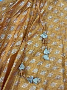 Beautiful Orange Ethnic Skirt