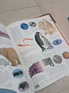 DK Illustrated Family Encyclopedia Vol. 11