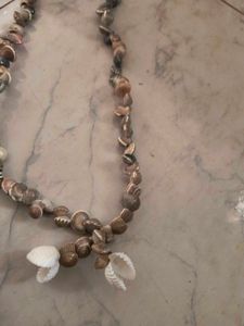 Seashell Necklace
